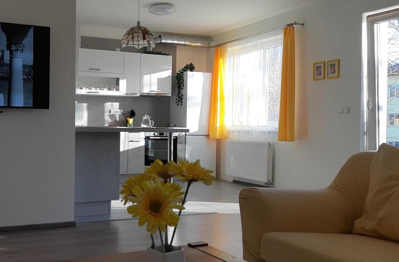 Rodinny Apartman Lucie V Blizkosti Wellness Hotelu Ve Frymburku Exteriér fotografie