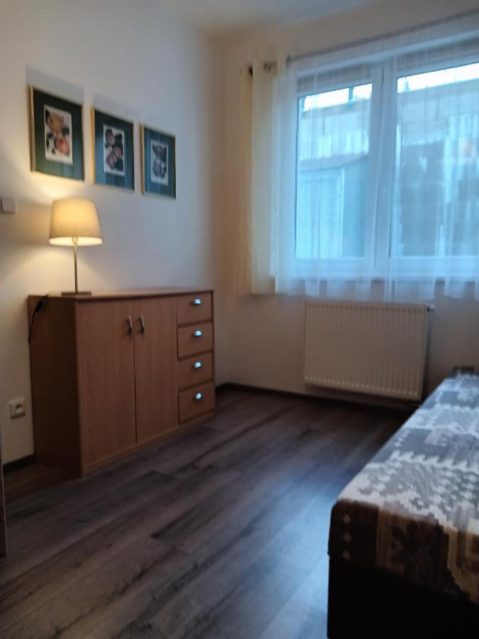 Rodinny Apartman Lucie V Blizkosti Wellness Hotelu Ve Frymburku Exteriér fotografie